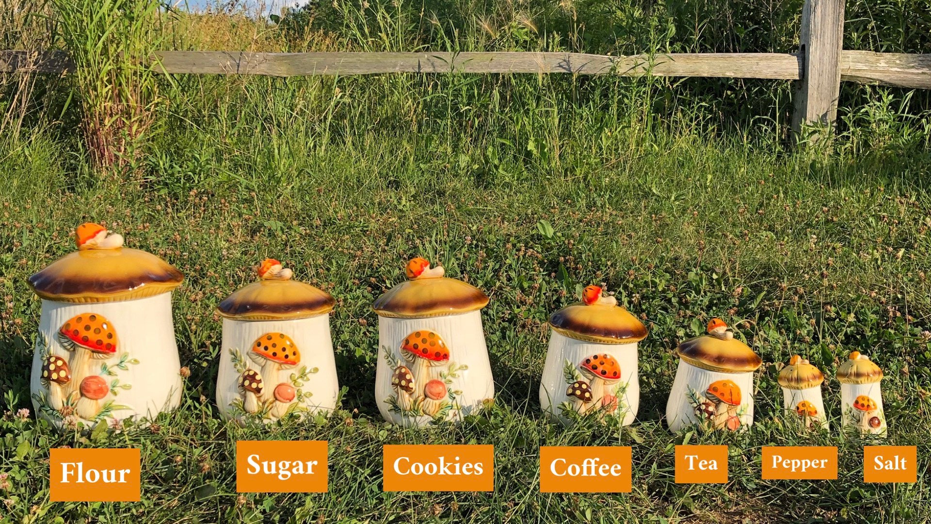 Sears mushroom canisters sale